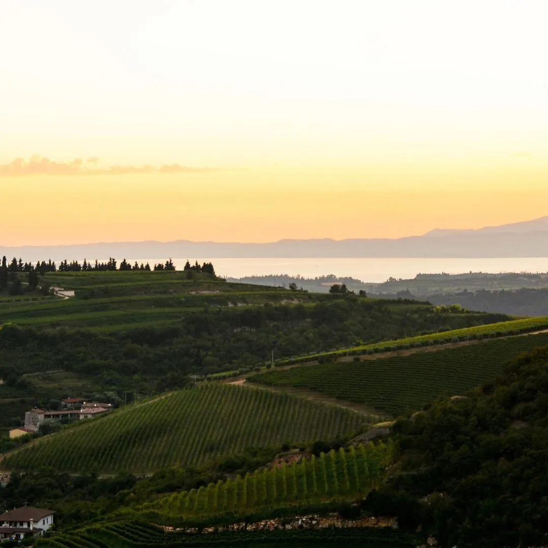 Farm stay Agriturismo Ca' Verde Sant'Ambrogio di Valpolicella