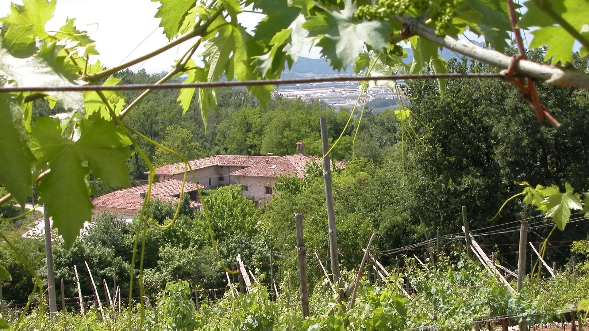 Agriturismo Ca\' Verde location