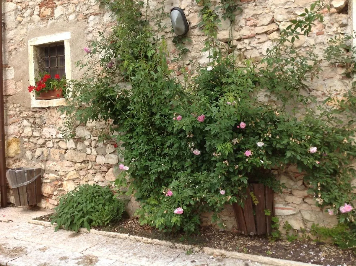 Agriturismo Ca' Verde Sant'Ambrogio di Valpolicella Farm stay
