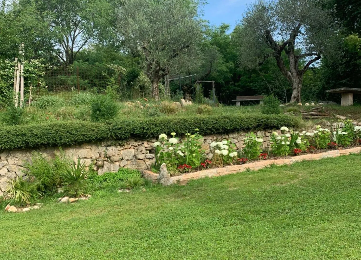 Agriturismo Ca' Verde Sant'Ambrogio di Valpolicella 0*,